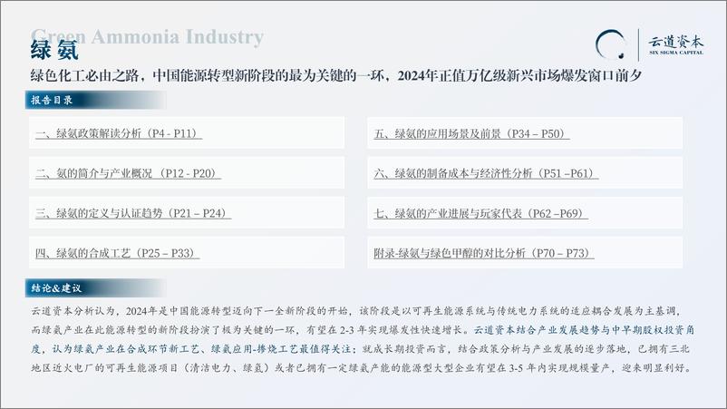 《2024年中国绿氨产业研究报告》 - 第2页预览图