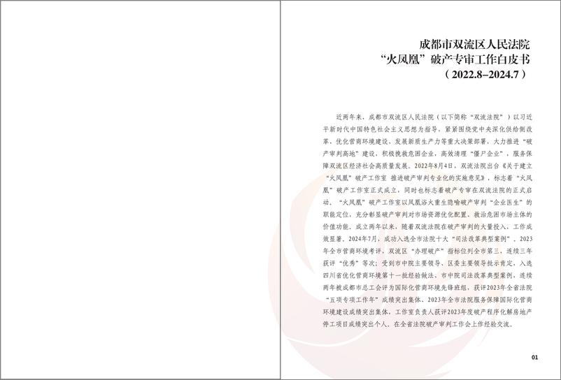 《成都市双流区人民法院“火凤凰”破产专审工作白皮书（2022.8-2024.7）-2024-18页》 - 第2页预览图