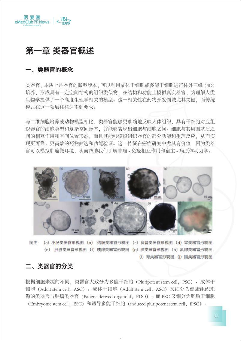 《医麦客：2023-2024类器官技术与应用发展白皮书-41页》 - 第5页预览图