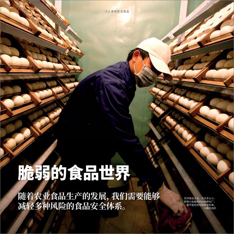 《人人享有安全食品_粮农组织在食品安全方面的工作 — 科学_标准和良好做法》 - 第4页预览图