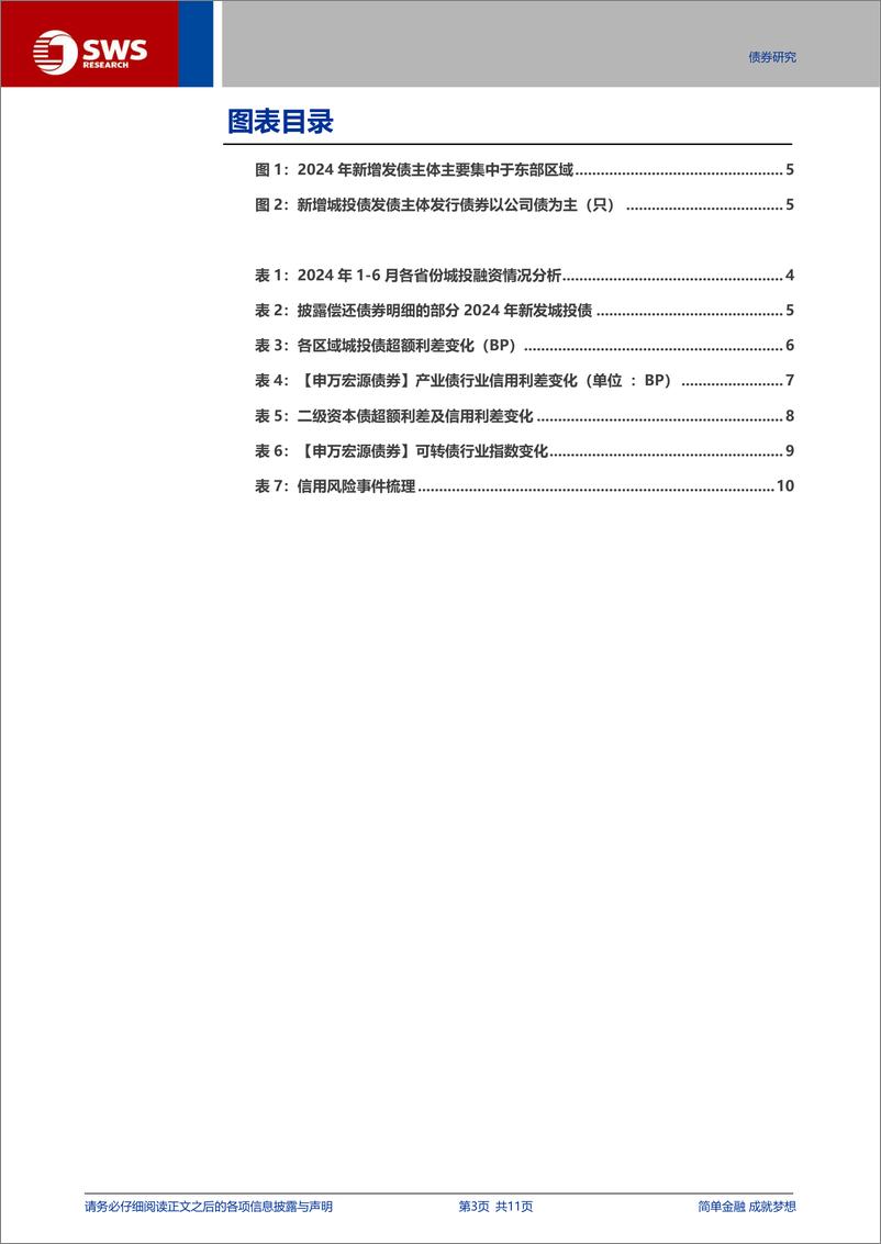 《信用与产品-2024YH1新增发债城投观察：私募发行为主，多用于关联平台借新还旧-240707-申万宏源-11页》 - 第3页预览图