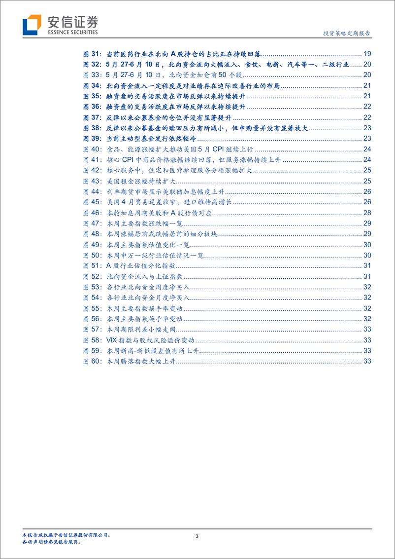 《逐渐走出大跌思维：来自分母端的支撑-20220612-安信证券-35页》 - 第4页预览图