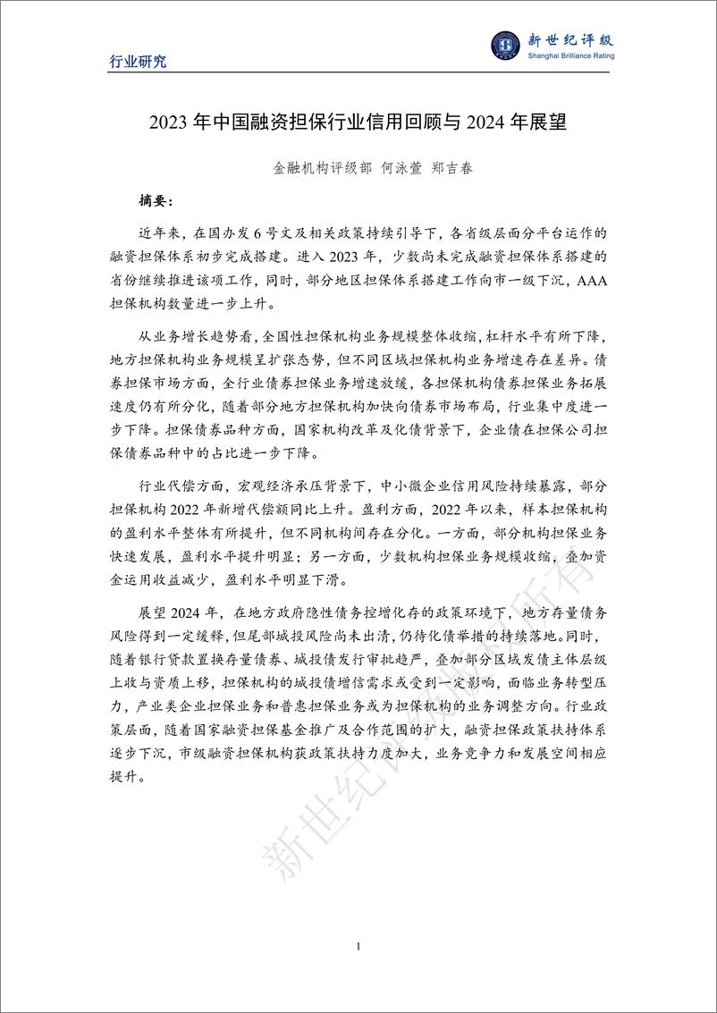 《新世纪评级：2023年融资担保行业信用回顾与2024年展望报告》 - 第1页预览图