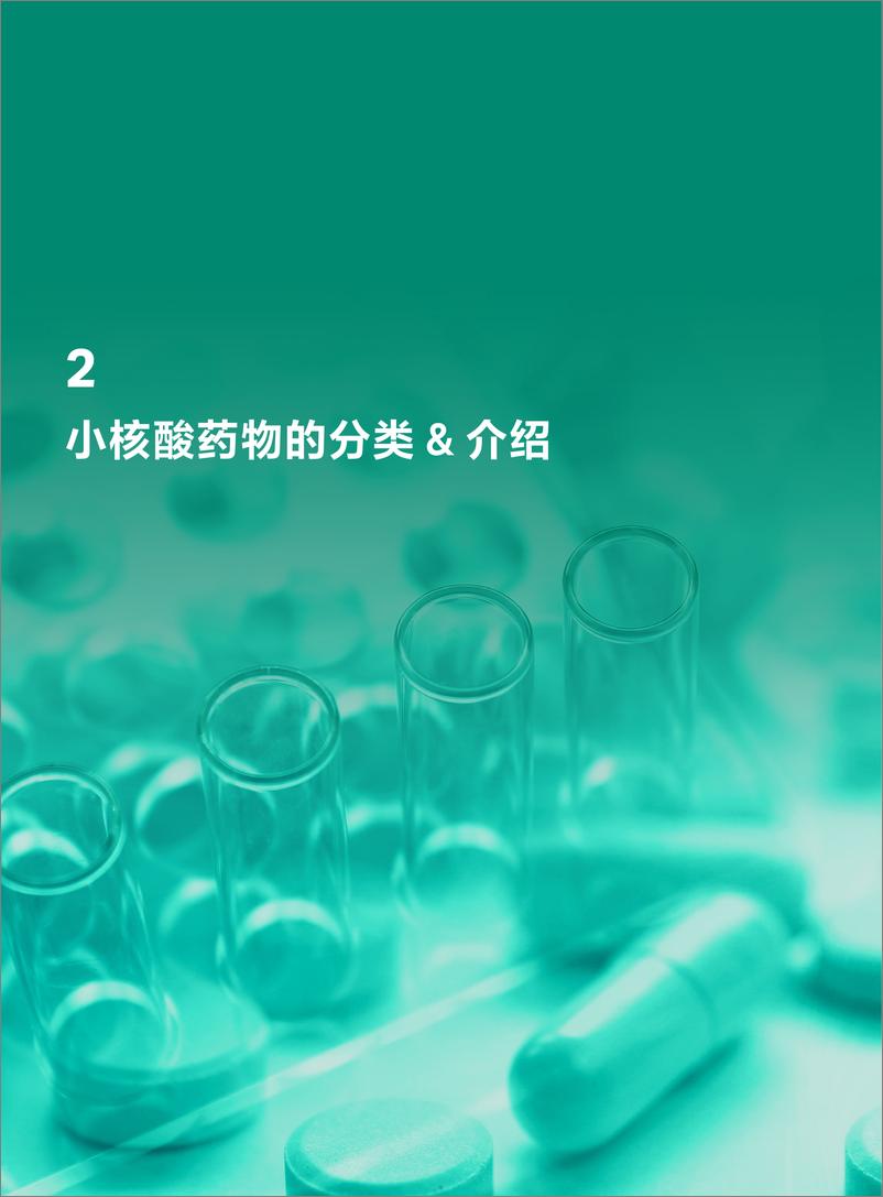 《2024中国小核酸药物行业发展报告-Cytiva思拓凡》 - 第5页预览图