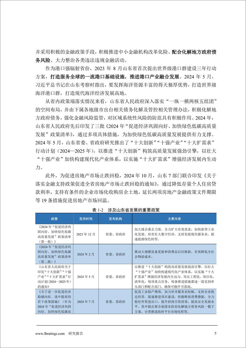 《2024年地方政府与城投企业债务风险研究报告-山东篇》 - 第6页预览图