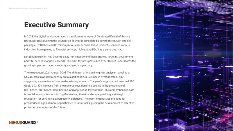 《NexusGuard：DDoS Trend Report 2024》 - 第3页预览图