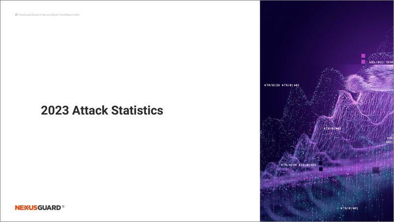 《NexusGuard：DDoS Trend Report 2024》 - 第8页预览图