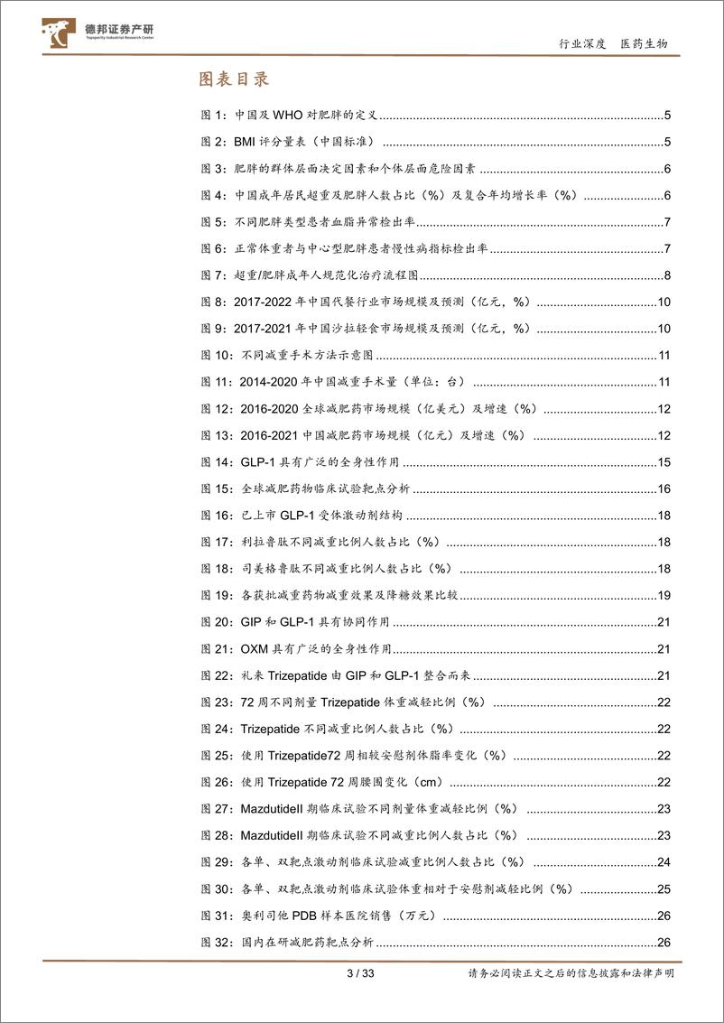 《医药生物行业减重药物专题：400亿量级黄金赛道，GLP1类药物减重市场正高速增长-20221009-德邦证券-33页》 - 第4页预览图