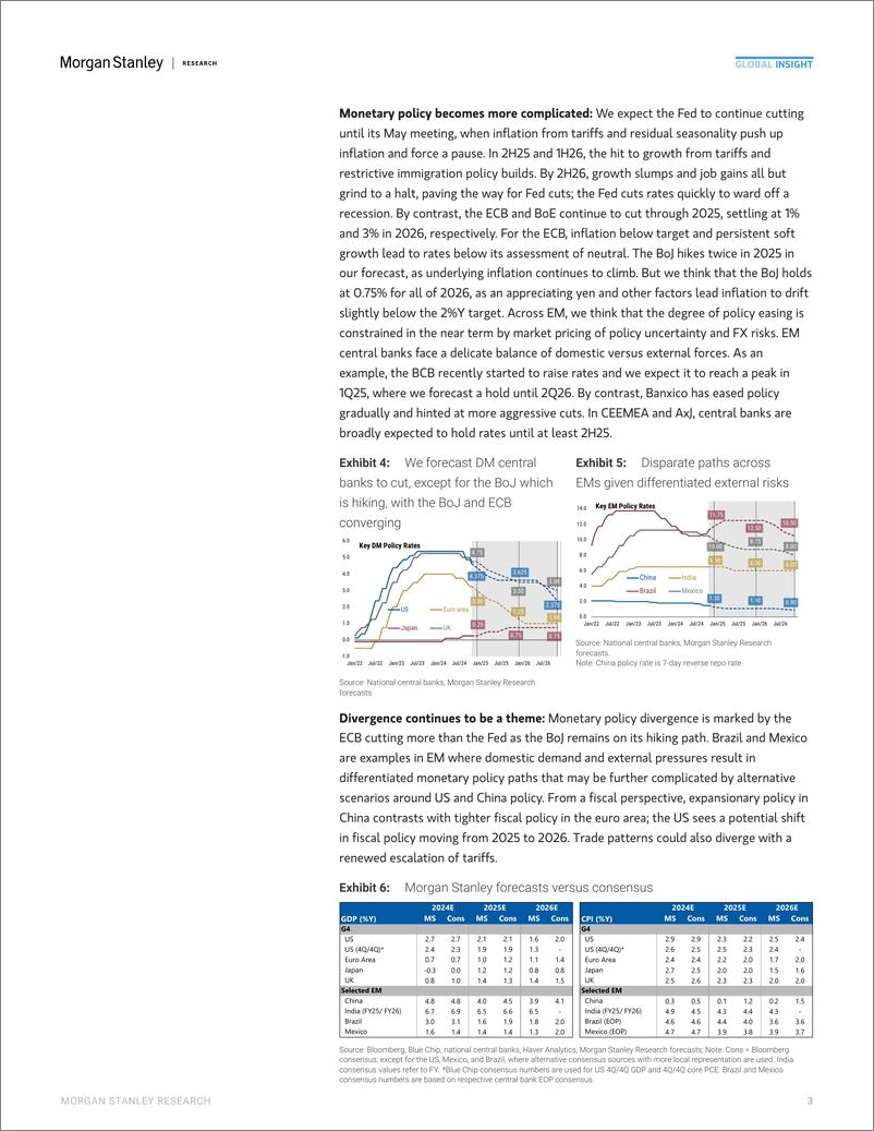 《Morgan Stanley Fixed-2025 Global Economics Outlook Pieces of the Policy Puzzle-111640378》 - 第3页预览图