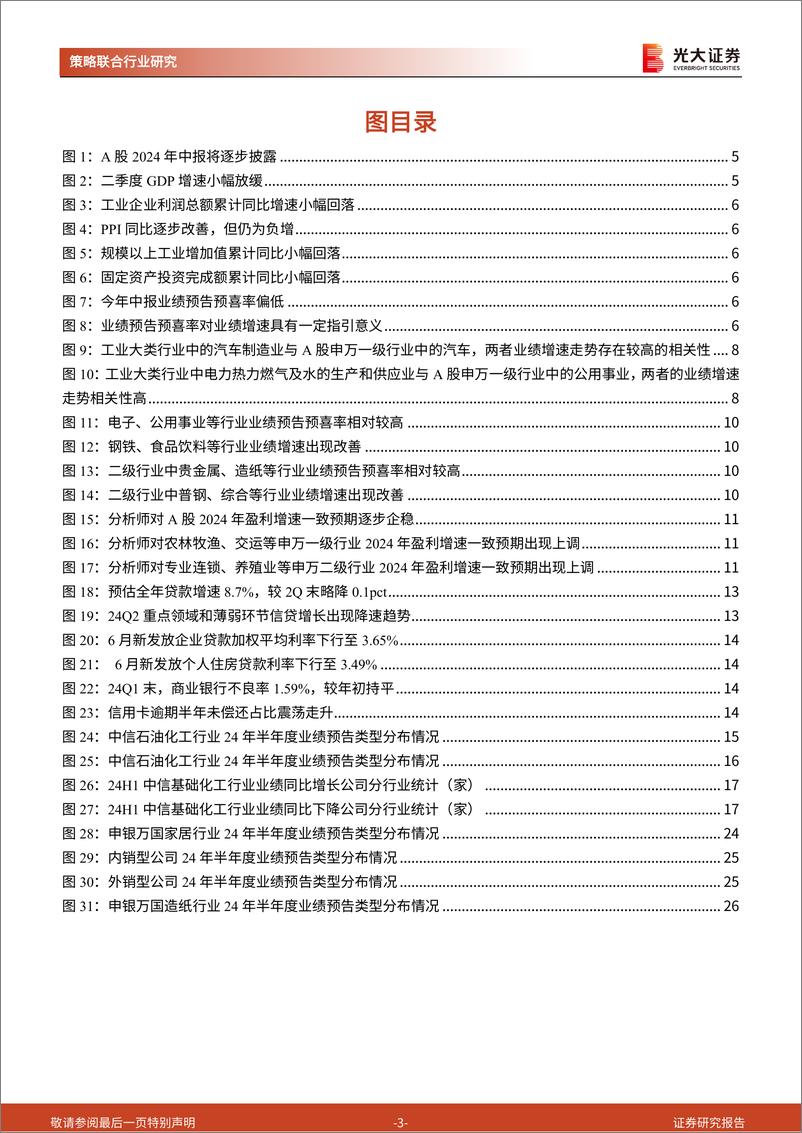 《策略联合行业2024年中报业绩前瞻：中报业绩可能有哪些结构性亮点？-240804-光大证券-33页》 - 第3页预览图