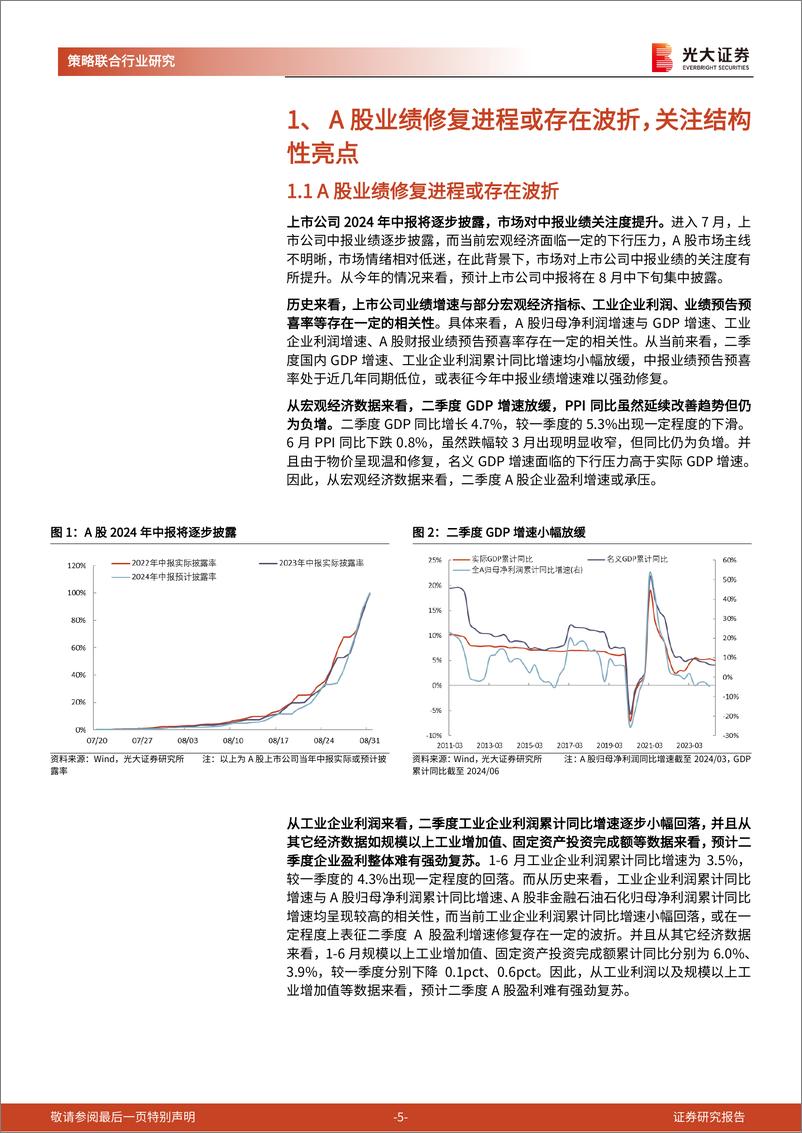 《策略联合行业2024年中报业绩前瞻：中报业绩可能有哪些结构性亮点？-240804-光大证券-33页》 - 第5页预览图