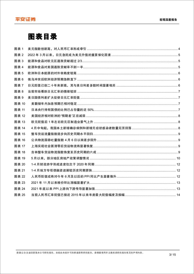 《宏观深度报告：坐看云起时，人民币汇率再审视-20220524-平安证券-15页》 - 第4页预览图