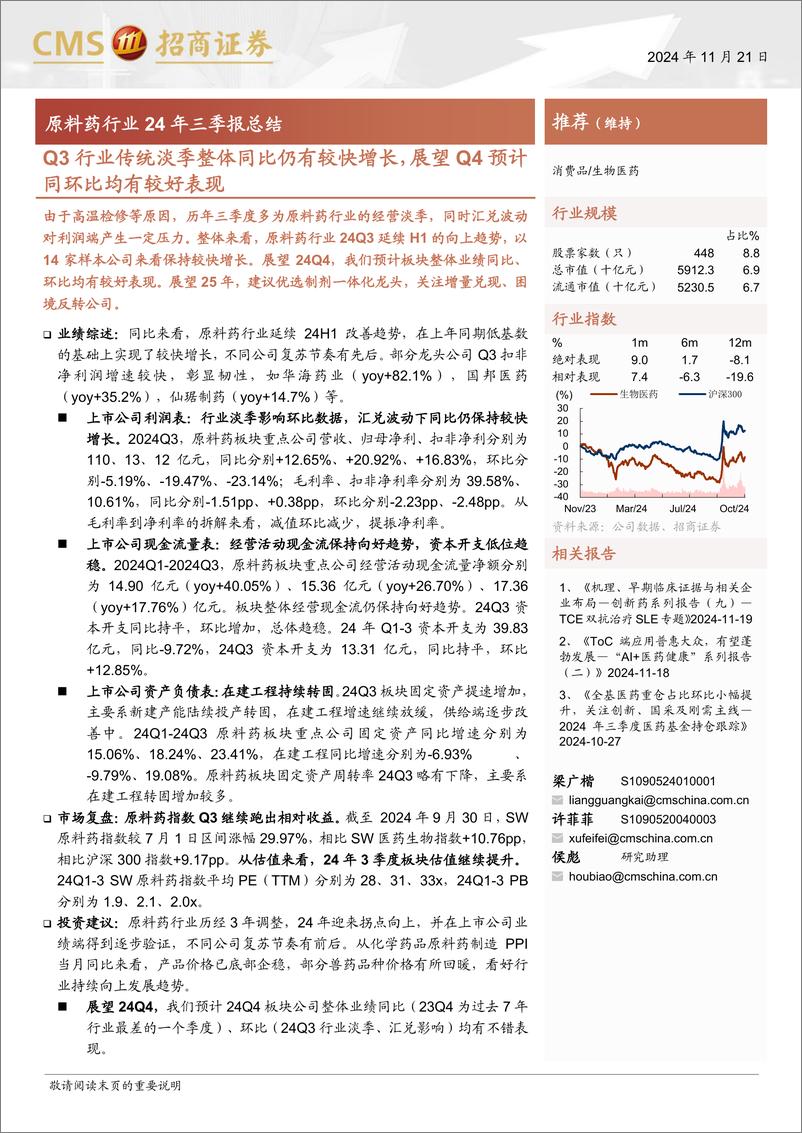 《原料药行业24年三季报总结：Q3行业传统淡季整体同比仍有较快增长，展望Q4预计同环比均有较好表现-241121-招商证券-17页》 - 第1页预览图