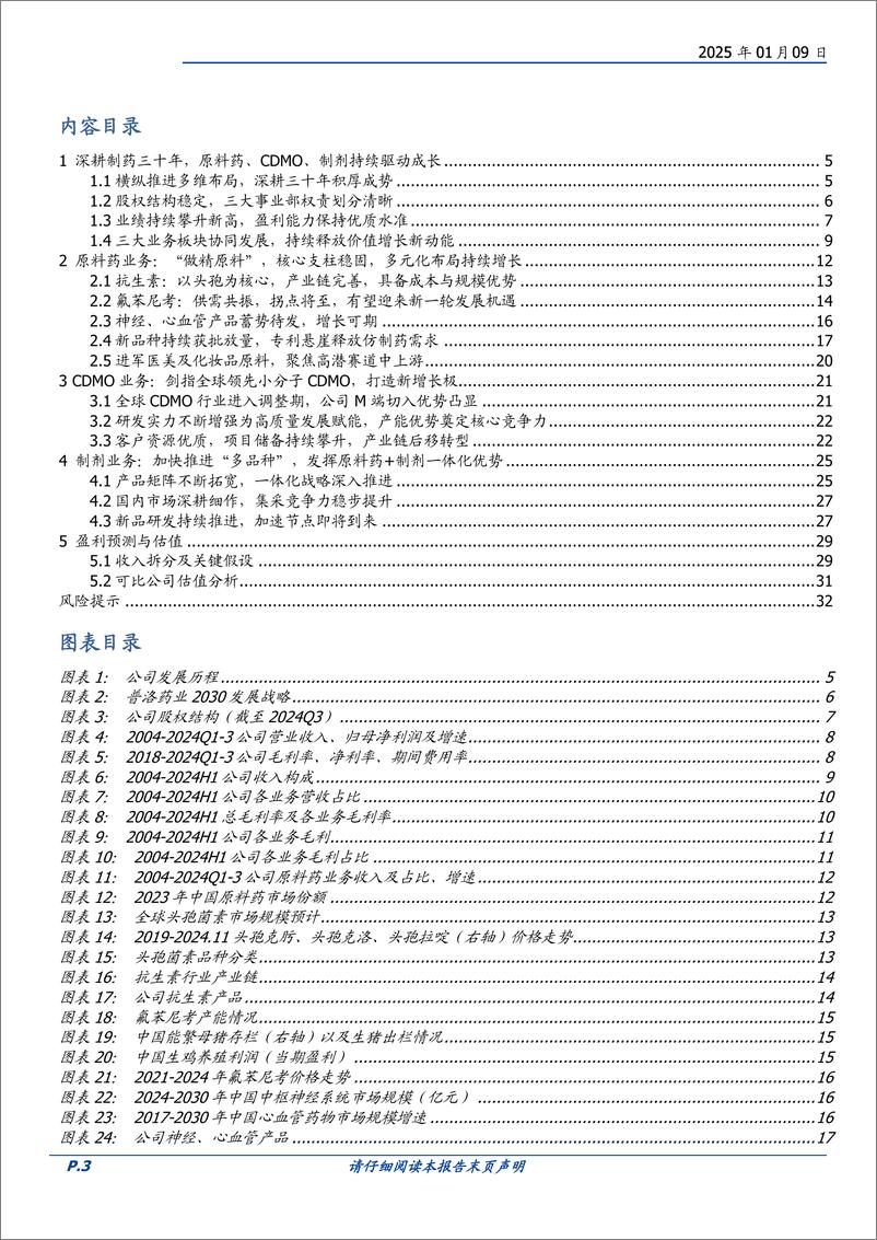 《普洛药业(000739)原料药基业长青，制剂协同共进，小分子CDMO积厚聚势-250109-国盛证券-33页》 - 第3页预览图