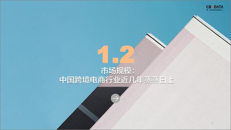 《2020跨境出口电商行业白皮书》 - 第7页预览图