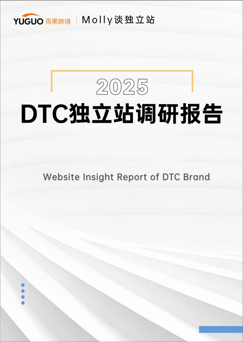 《2025DTC独立站调研报告-64页》 - 第1页预览图