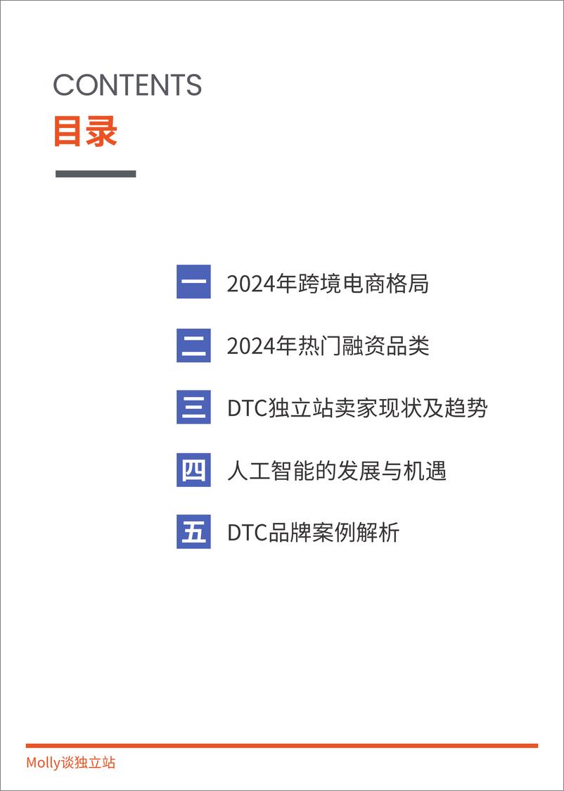 《2025DTC独立站调研报告-64页》 - 第2页预览图