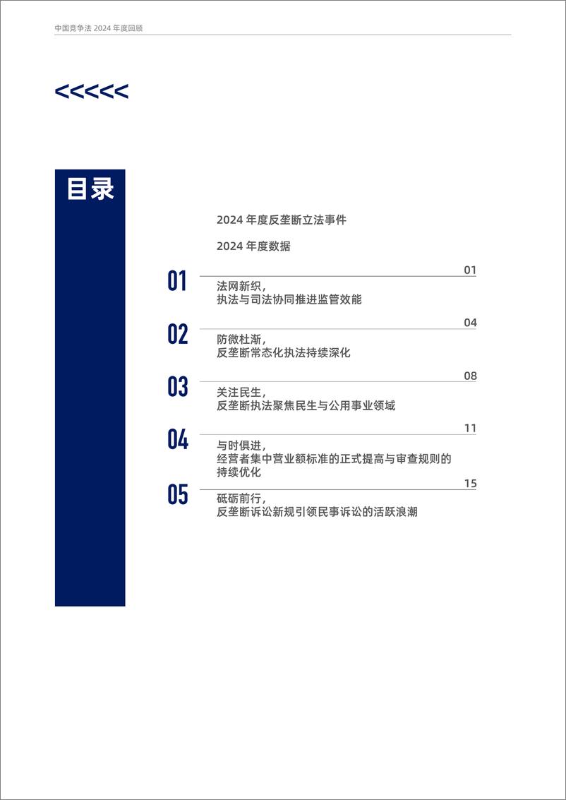 《2024年中国竞争法年度回顾报告-48页》 - 第4页预览图