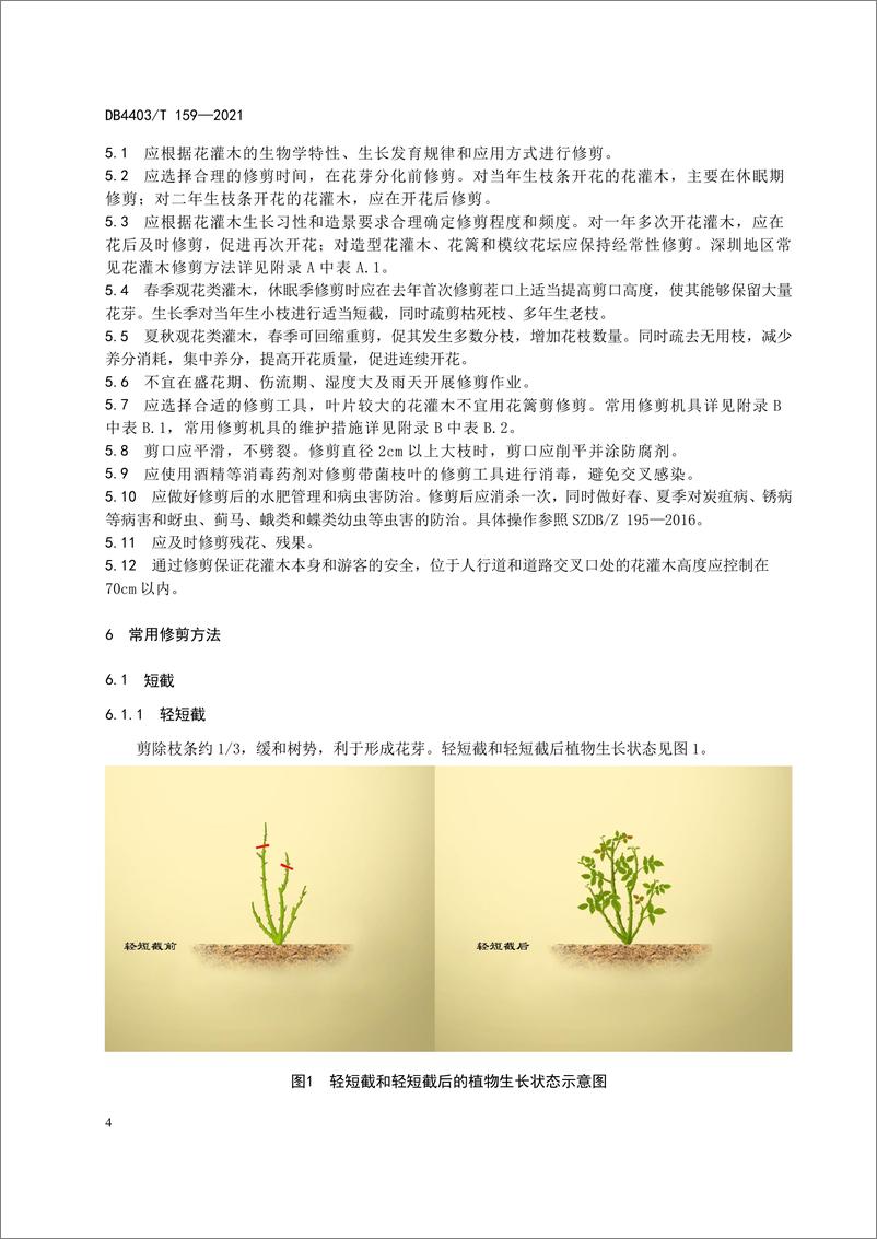 《DB440T 159-2021 花灌木修剪技术规程-31页》 - 第7页预览图