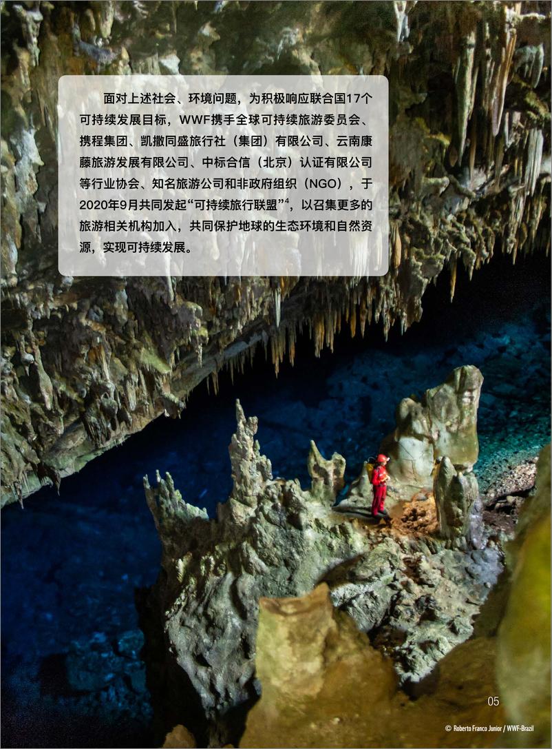 《2023可持续旅行指南-旅行服务商篇-WWF&中国旅游研究院》 - 第7页预览图