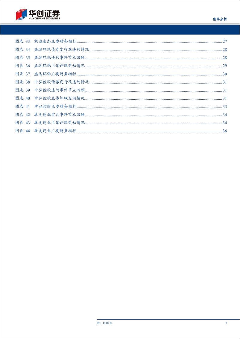 《债券违约复盘系列之四：舞弊之殇，财务舞弊导致违约案例汇总-20190704-华创证券-39页》 - 第6页预览图