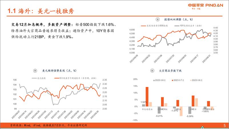 《2023年9月宏观利率策略：政策的边际影响探讨-20230906-平安证券-38页》 - 第6页预览图