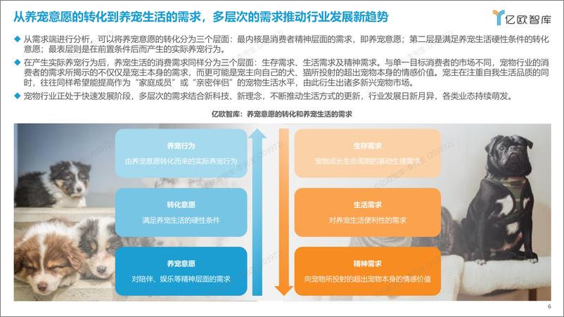 《2023中国宠物行业新趋势洞察 - 0718-37页》 - 第7页预览图