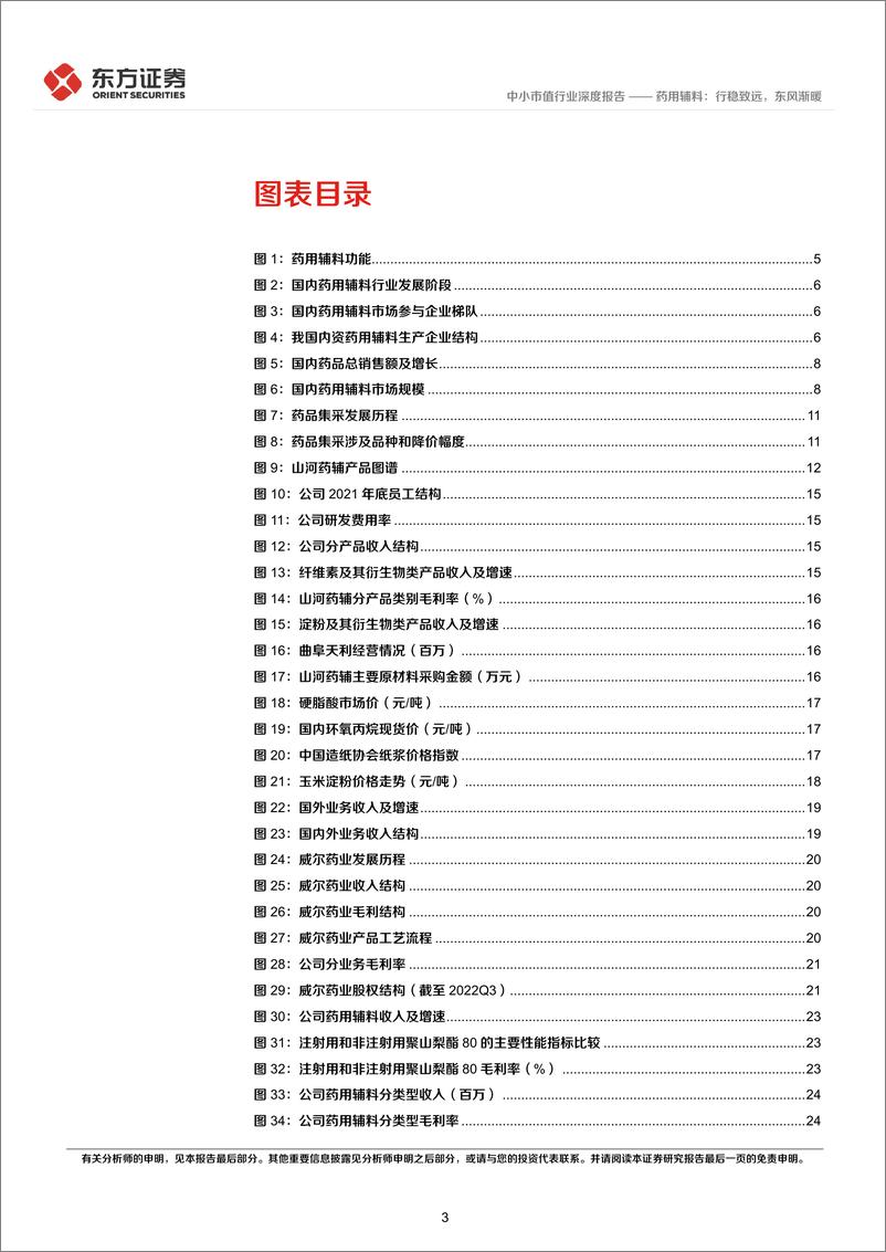 《中小市值行业药用辅料：行稳致远，东风渐暖-20221231-东方证券-31页》 - 第4页预览图