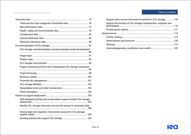 《国际能源署-CO2储存资源及其开发（英）-2022-127页》 - 第6页预览图