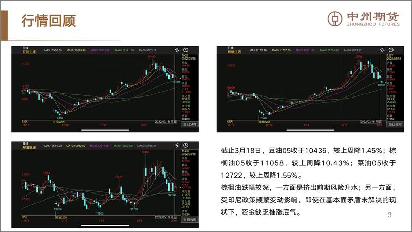 《印尼政策多变，情绪市波动加剧-20220320-中州期货-20页》 - 第5页预览图