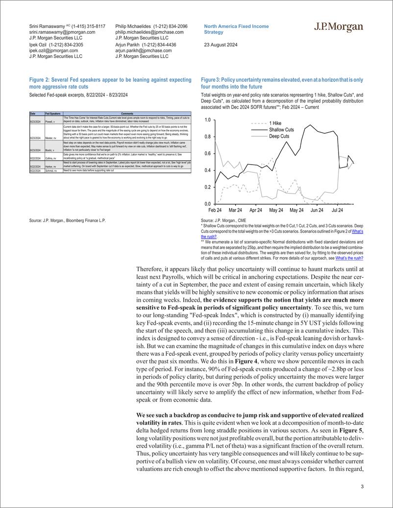 《JPMorgan Econ  FI-Interest Rate Derivatives False Fall-109990091》 - 第3页预览图