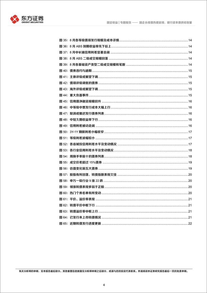 《8月小品种月报：国企永续债热度延续，银行资本债供给放量-20220907-东方证券-25页》 - 第5页预览图