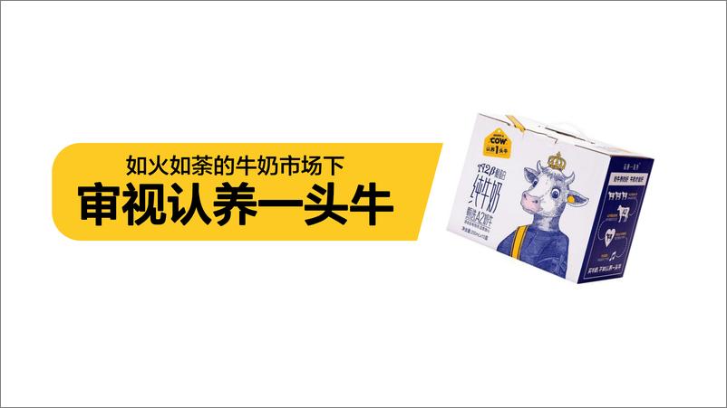 《牛奶品牌新媒体口碑传播方案【种草传播】【抖音营销】》 - 第6页预览图