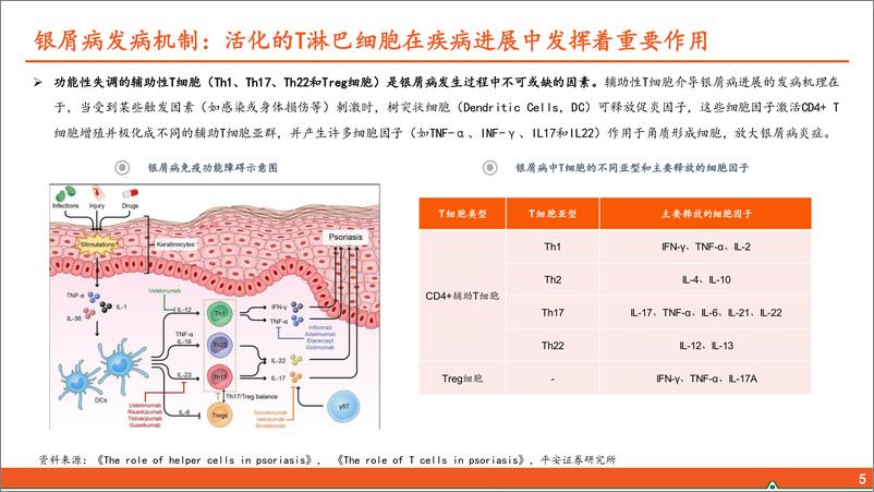 《平安证券-医药行业：银屑病生物制剂用药全景图—从发病机制TNF-α／IL-23／IL-17轴出发，生物制剂治疗银屑病占比逐步提升》 - 第6页预览图