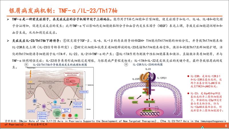 《平安证券-医药行业：银屑病生物制剂用药全景图—从发病机制TNF-α／IL-23／IL-17轴出发，生物制剂治疗银屑病占比逐步提升》 - 第7页预览图