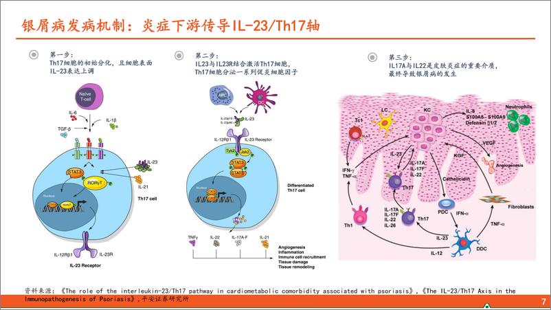 《平安证券-医药行业：银屑病生物制剂用药全景图—从发病机制TNF-α／IL-23／IL-17轴出发，生物制剂治疗银屑病占比逐步提升》 - 第8页预览图