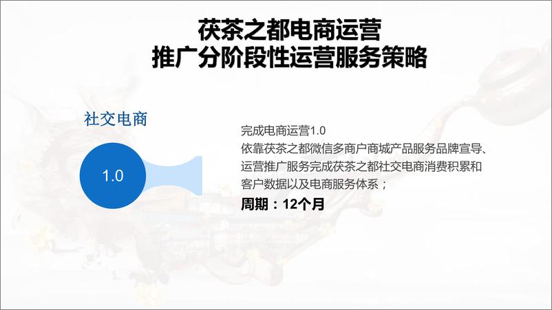 《7149.2019茯茶之都微信平台电商运营方案【电商】【微信运营】》 - 第5页预览图