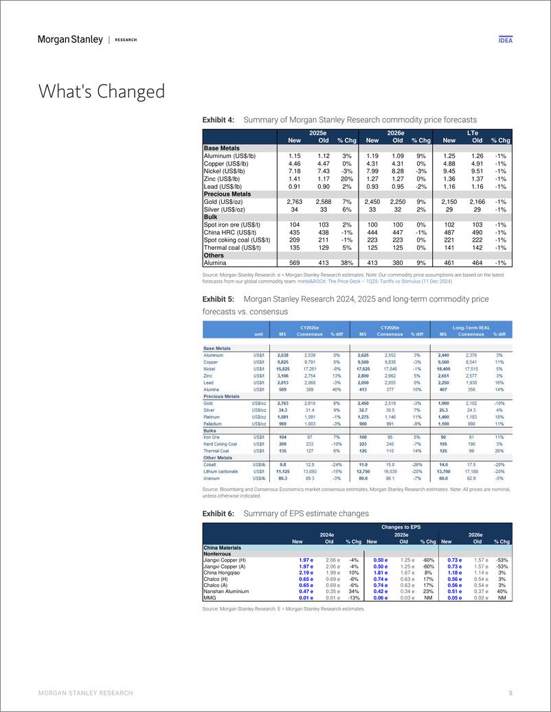 《Morgan Stanley-China Materials 2025 Outlook – Equity Implications Traditi...-112223361》 - 第5页预览图