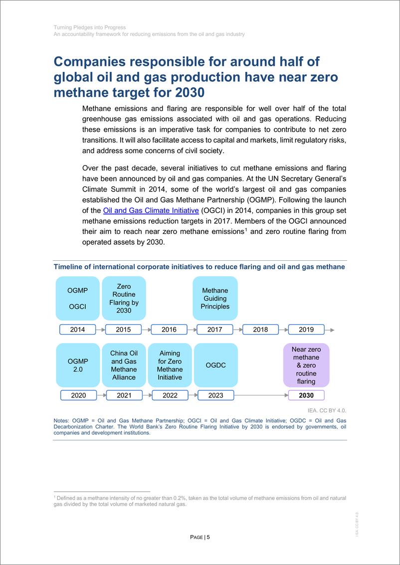 《国际能源署-将承诺转化为进展-减少石油和天然气行业排放的问责框架（英）-2024-21页》 - 第5页预览图