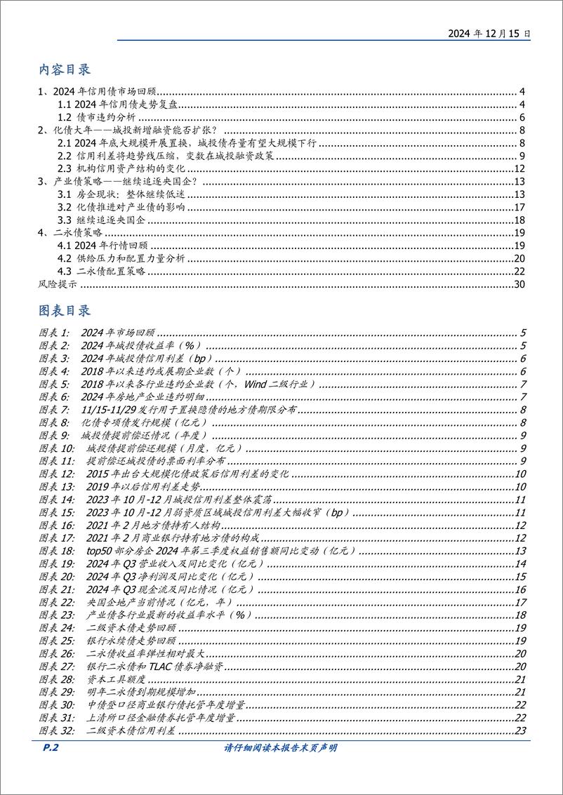 《2025年信用市场展望：信用资产会更荒吗？-241215-国盛证券-31页》 - 第2页预览图