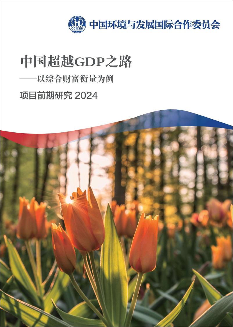 《2023-2024项目前期研究报告-中国超越GDP之路》 - 第1页预览图