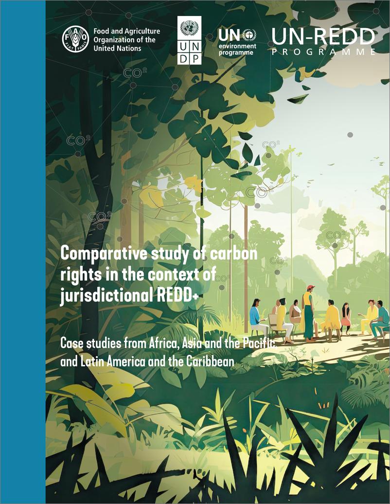 《FAO联合国粮农组织_2024年管辖范围内碳权利的比较研究REDD _英文版_》 - 第1页预览图