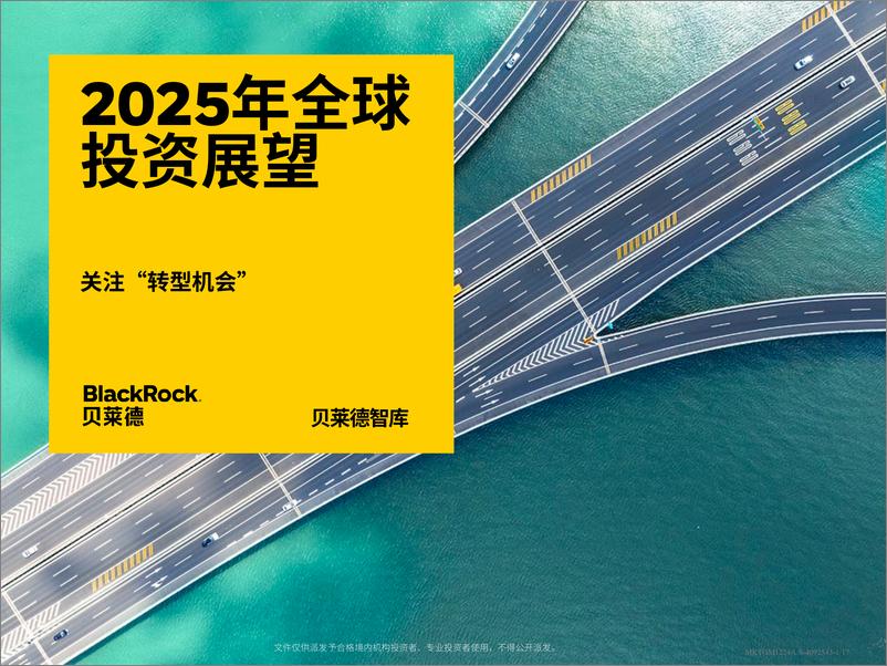 《贝莱德_2025年全球投资展望报告》 - 第1页预览图