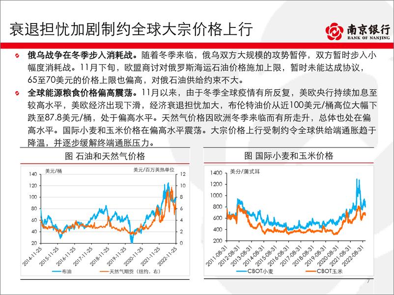 《债券市场2022年11月月报：利空共振持续，配置行情显现-20221130-南京银行-79页》 - 第8页预览图