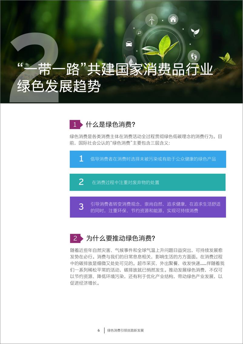 《2024绿色消费引领丝路新发展研究报告-安永》 - 第6页预览图