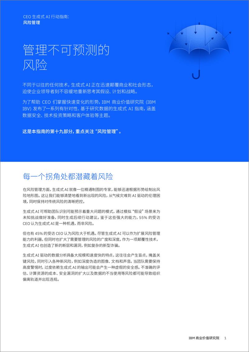 《IBM 商业价值研究院_管理不可预测的风险》 - 第1页预览图