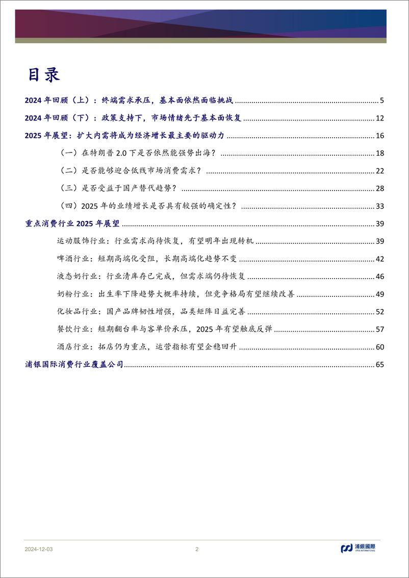 《消费行业2025年展望_扩大内需势在必行》 - 第2页预览图