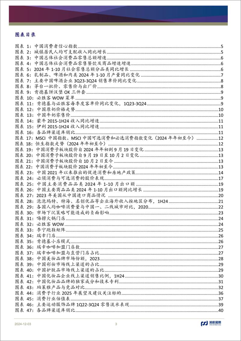 《消费行业2025年展望_扩大内需势在必行》 - 第3页预览图