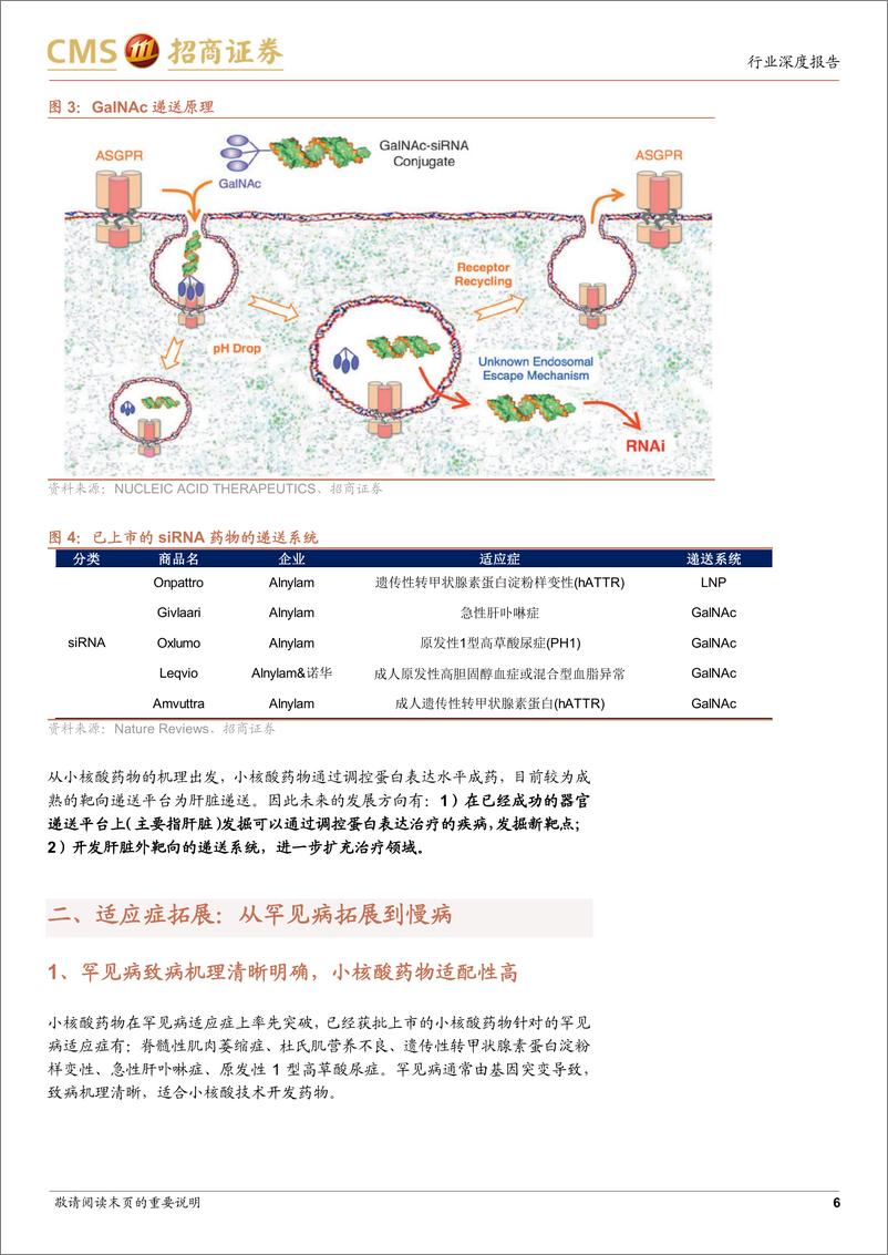 《招商证券-创新药系列报告（五）：进击的小核酸：从罕见病到慢病，从肝内靶向到肝外靶向》 - 第6页预览图