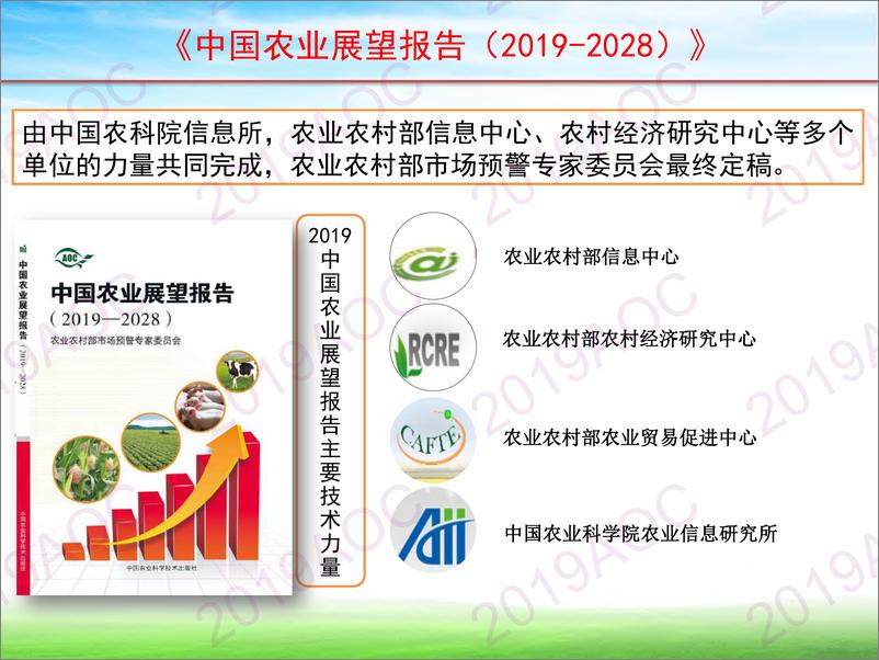 《2019中国农业展望大会：许世中国农业展望报告技术支撑-2019.4-37页》 - 第6页预览图